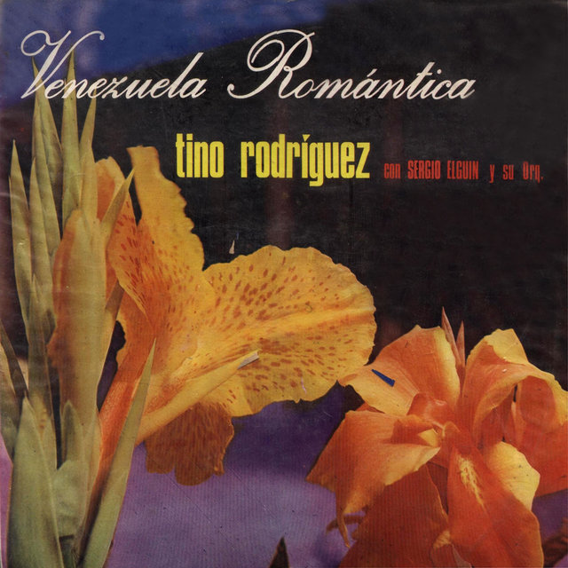 Venezuela Romantica