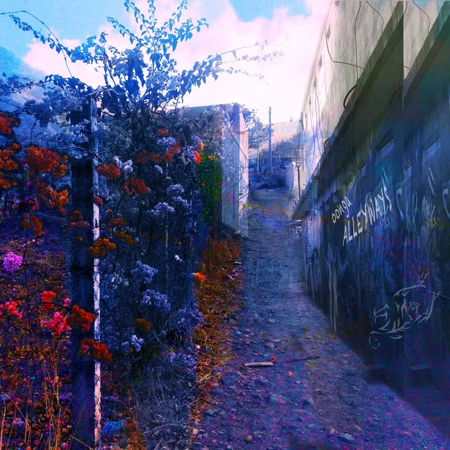 Oonga Tapes: Alleyways