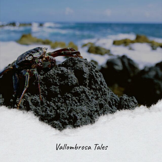 Vallombrosa Tales