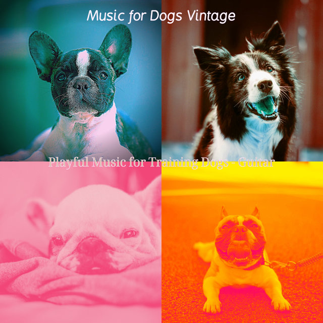 Playful Music for Training Dogs - Guitar