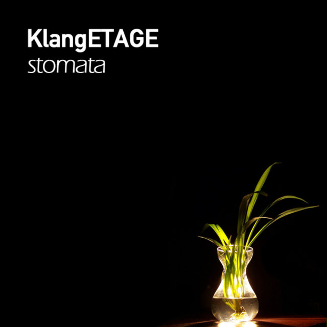 Stomata