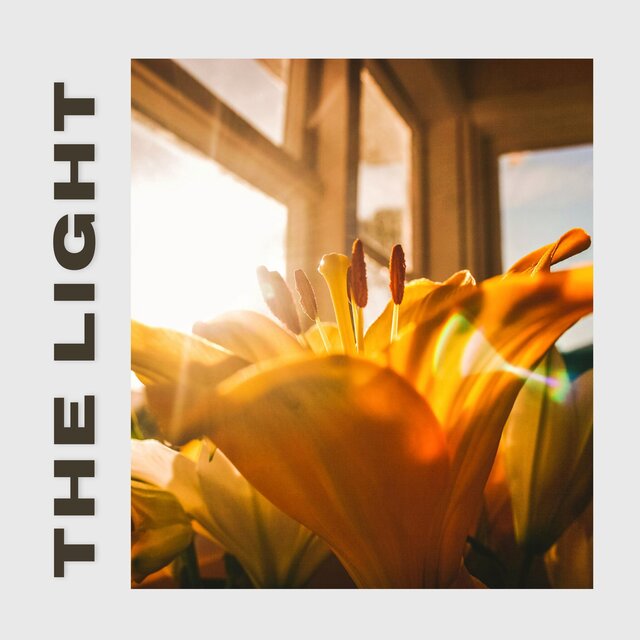 The Light