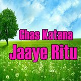 Hey Hey Kanchala