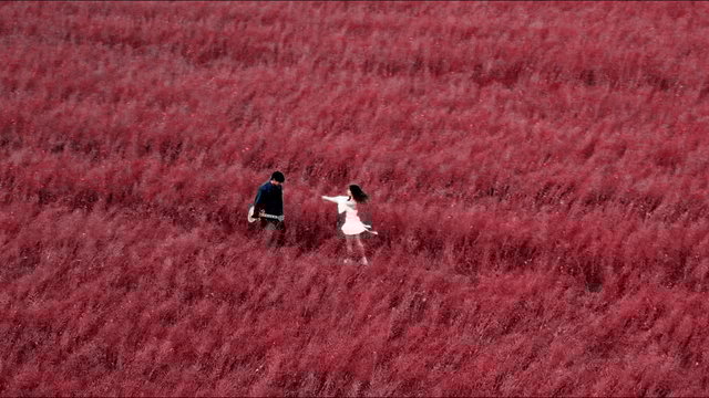 glow (feat. HAMA) [Live]