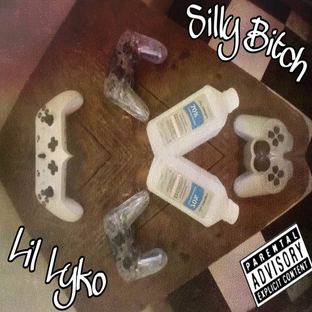 Silly Bitch