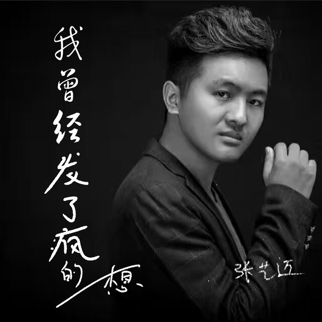 我曾经发了疯的想 (DJ默涵版)