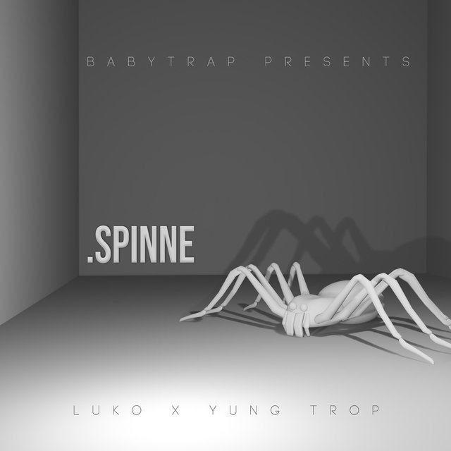 Spinne