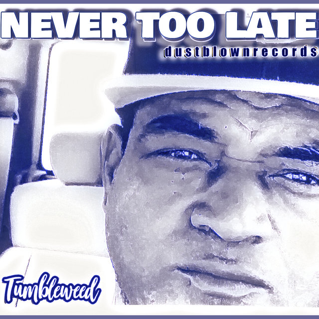 Never Too Late