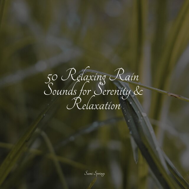 50 Relaxing Rain Sounds for Serenity & Relaxation