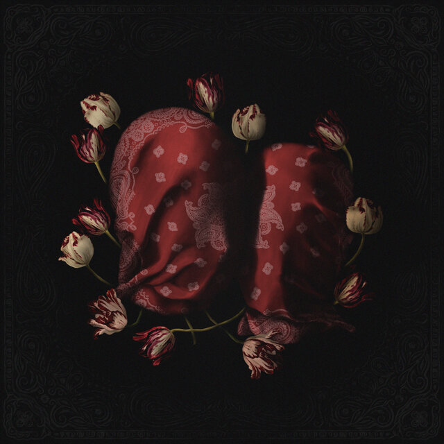 Tulipani / SAPORE