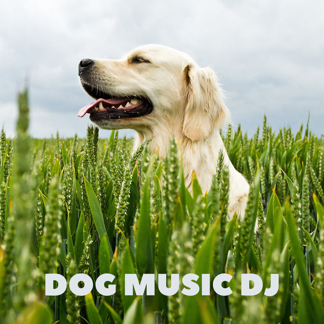 Dog Music Lullabies