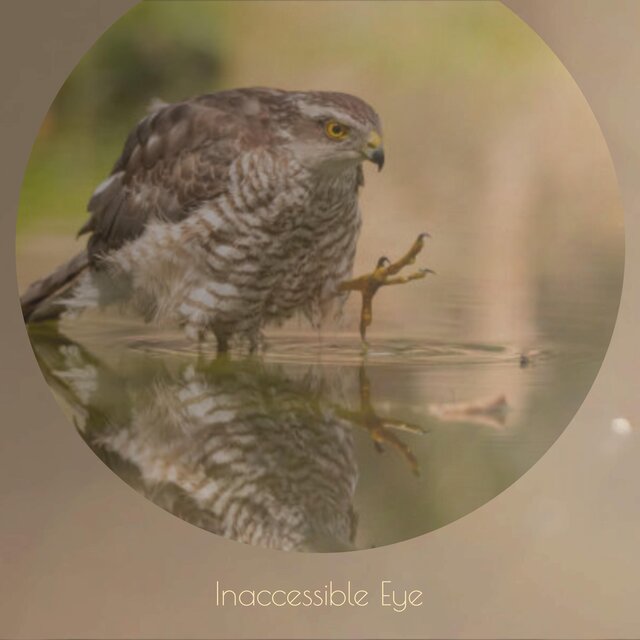 Inaccessible Eye