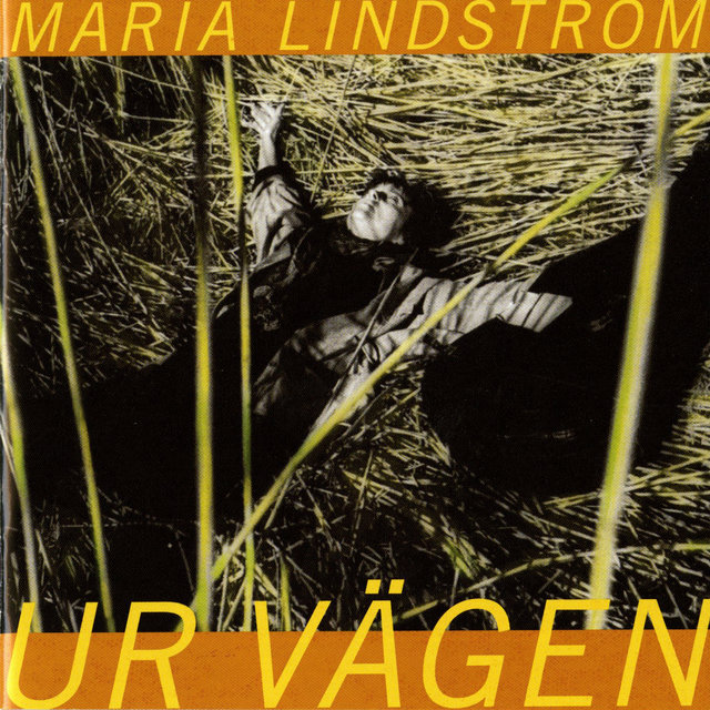 Ur vägen