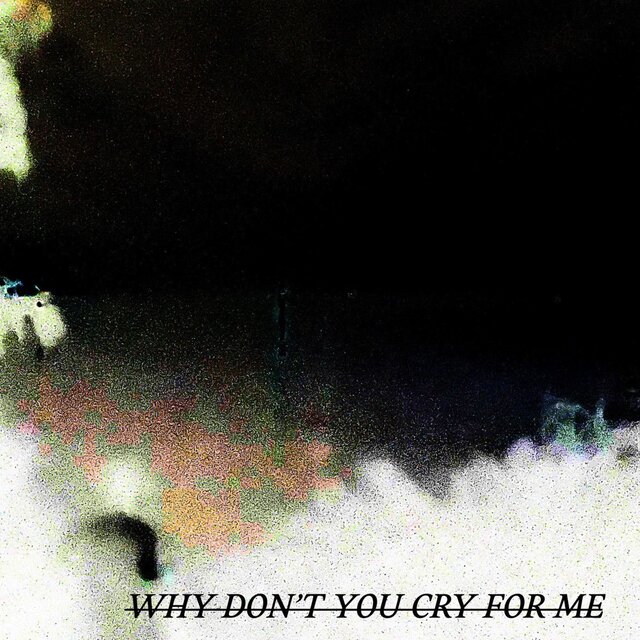WHY DON'T YOU CRY FOR ME (DC)