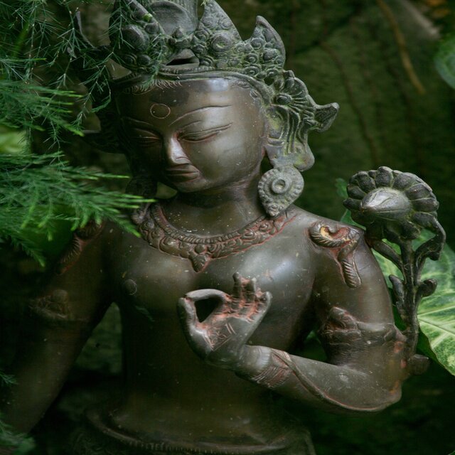 I've Been Trying to Meditate Lately