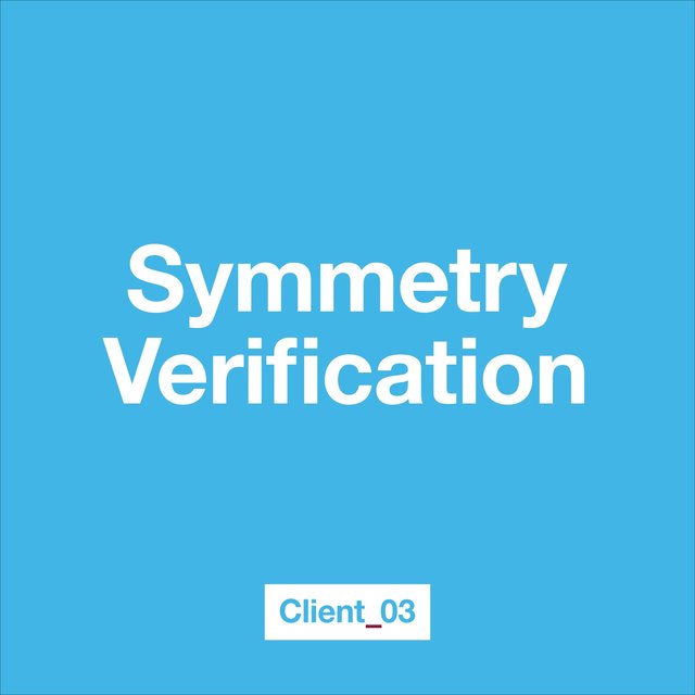 Symmetry Verification