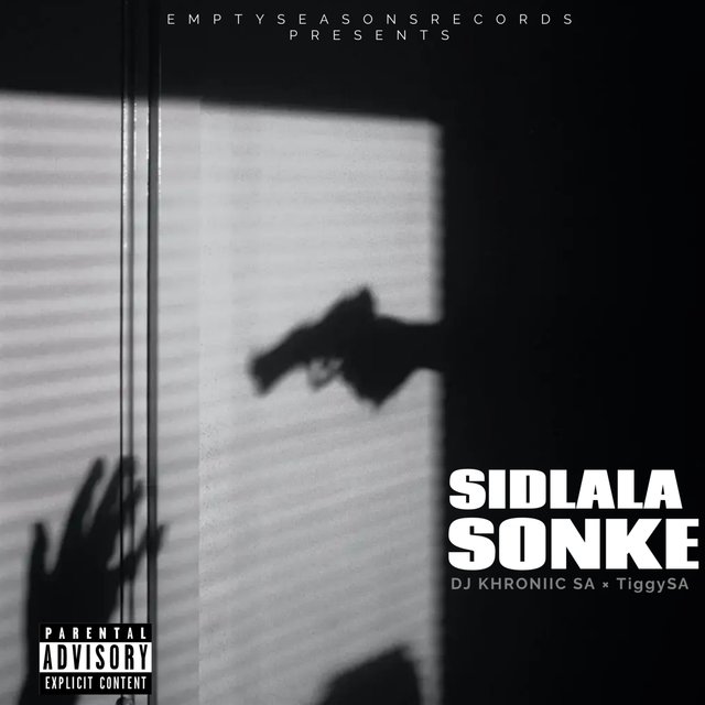 Sidlala Sonke(Intro) (Instrumental Version)