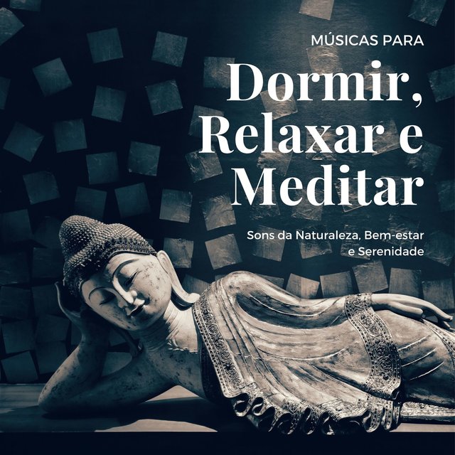 Músicas para Dormir, Relaxar e Meditar: Sons da Naturaleza, Bem-estar e Serenidade