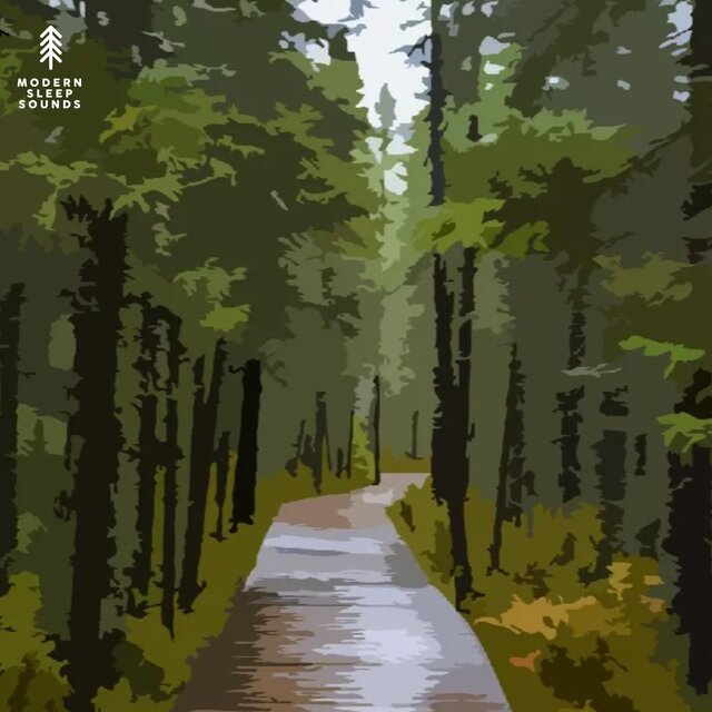 Rain Sounds of Algonquin Park