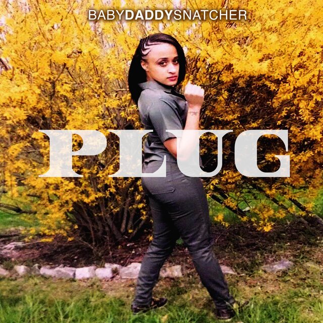 Plug