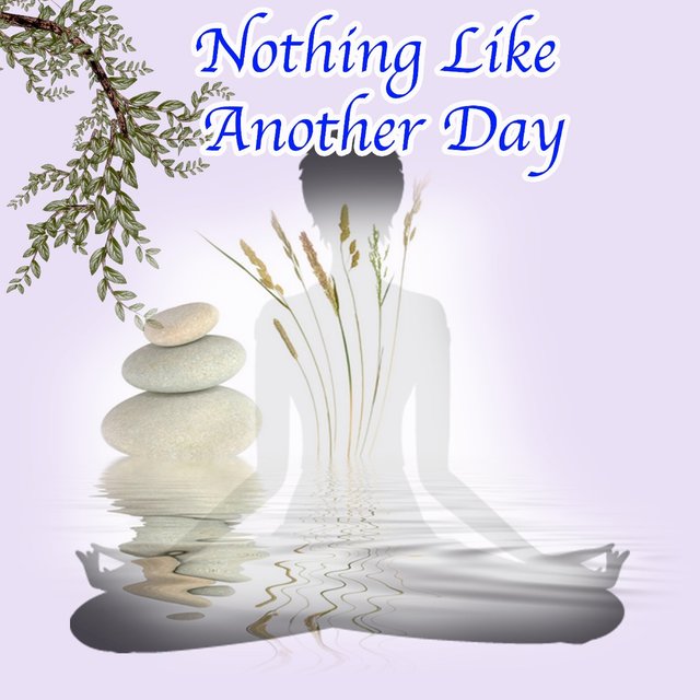 Nothing Like Another Day