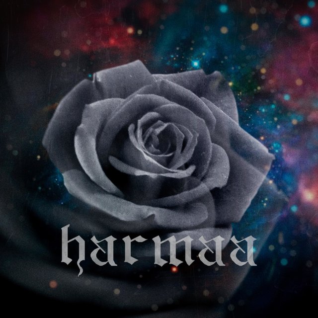 Harmaa