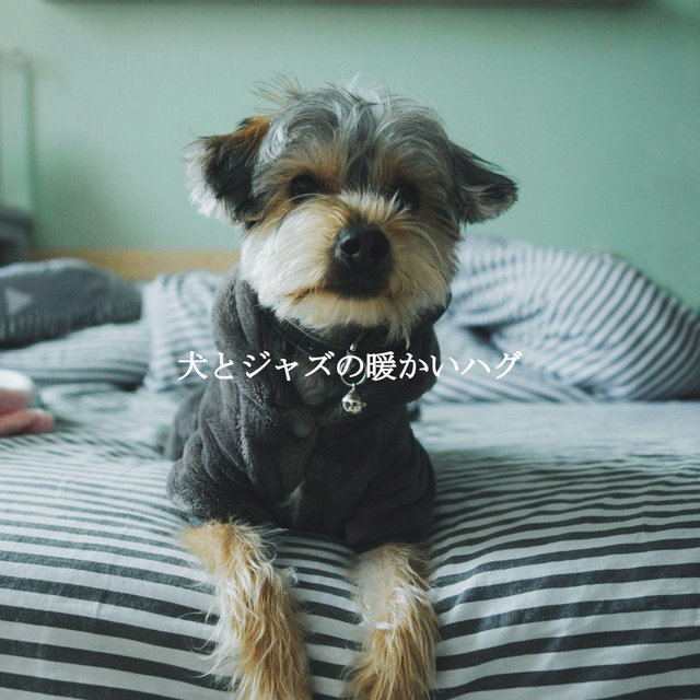 犬とジャズの暖かいハグ