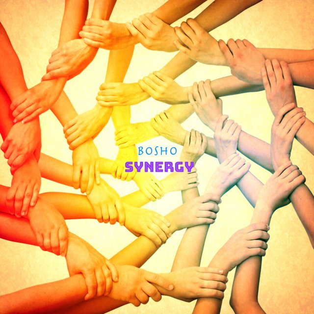 Self Synergy