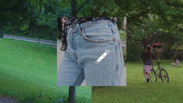 Switchblade