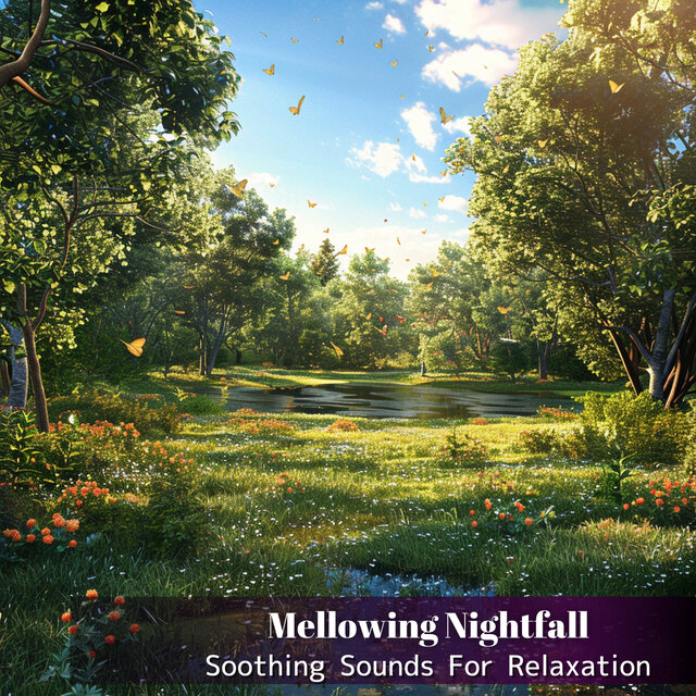 Soothing Sounds For Relaxation