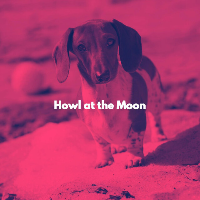 Howl at the Moon