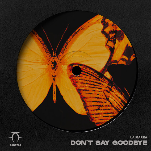 Don't Say Goodbye