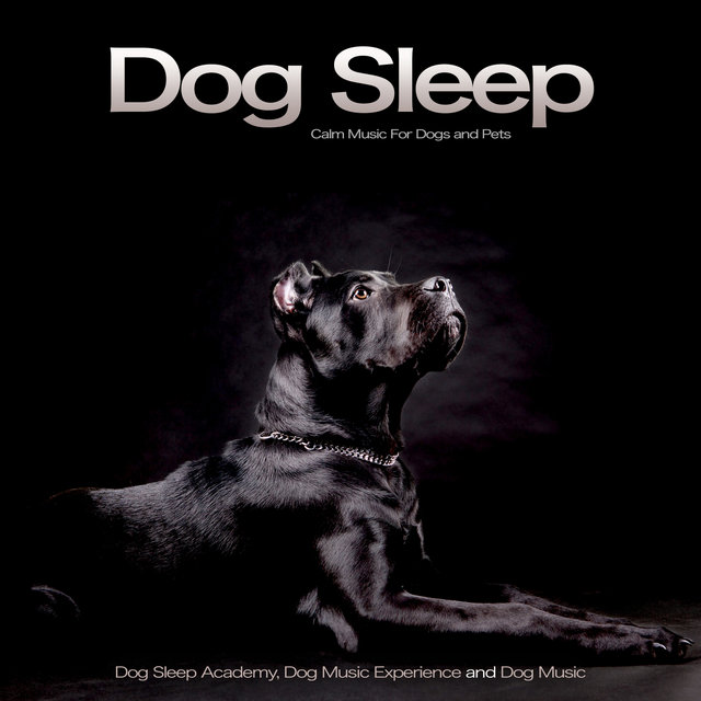 music for dog sleep