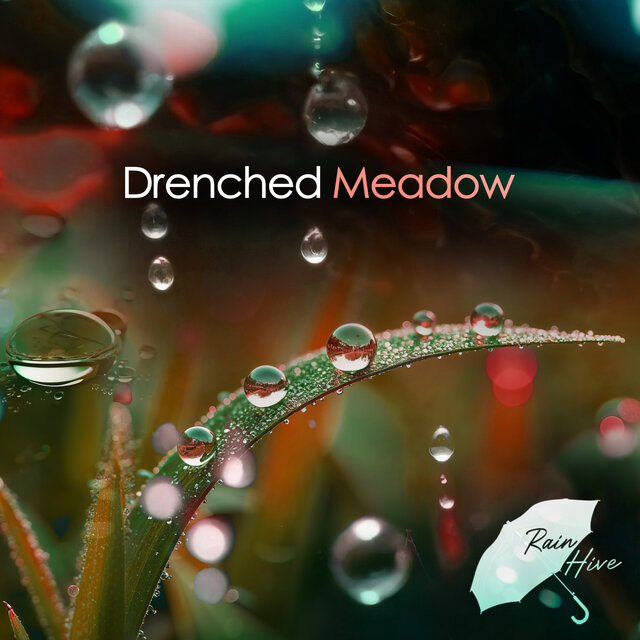 Drenched Meadow