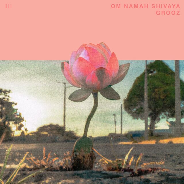Om Namah Shivaya (1/3)