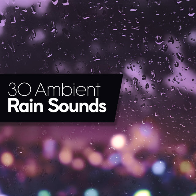 30 Ambient Rain Sounds