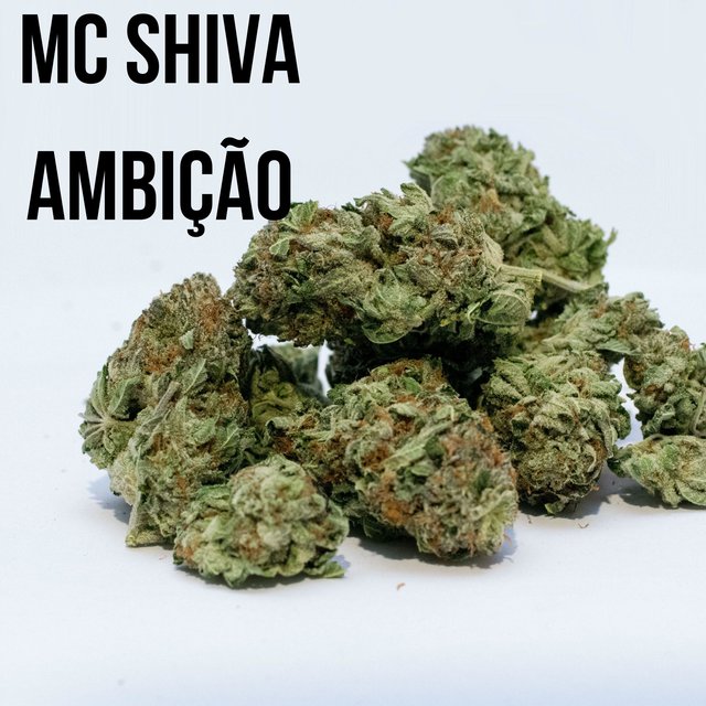 Ambição