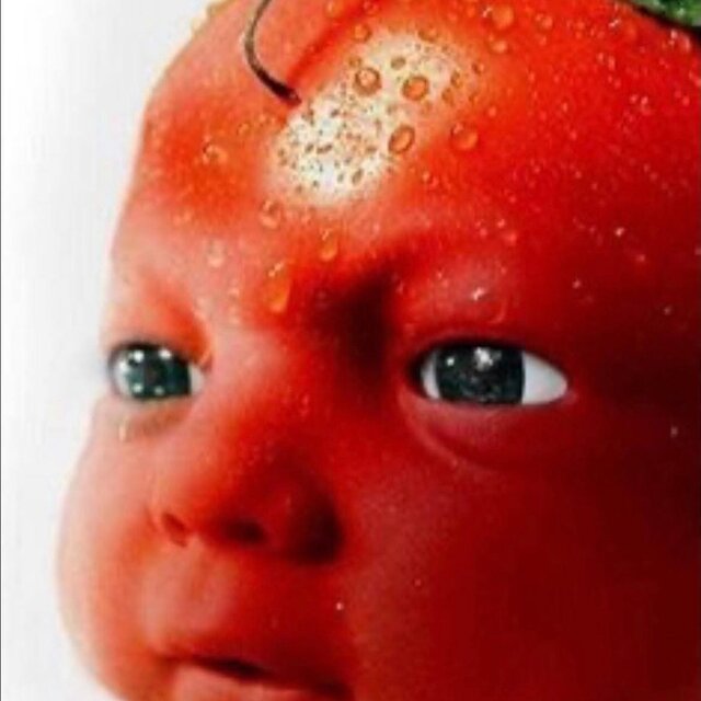 Tomato Baby