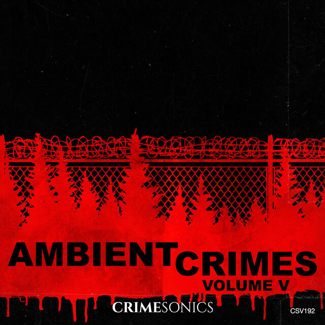 Ambient Crimes Vol. V