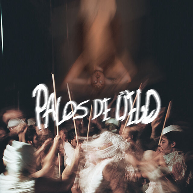 PALOS DE CIEGO