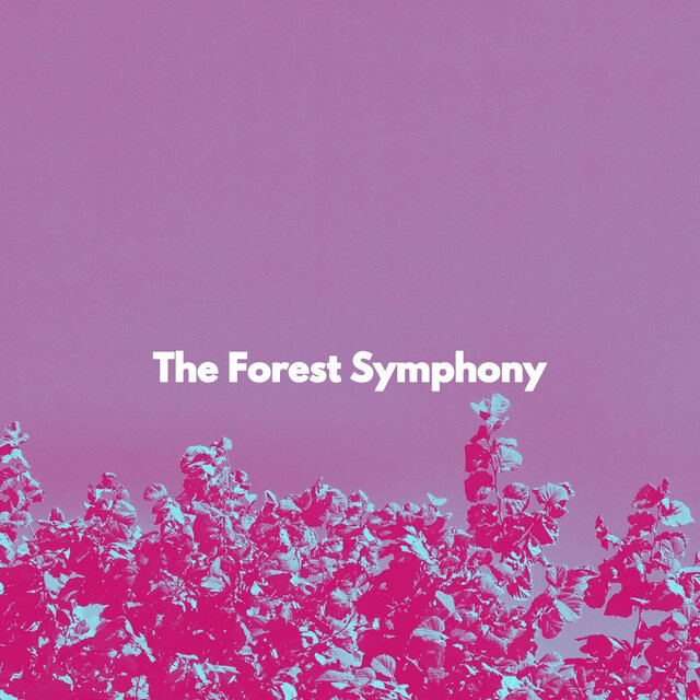 The Forest Symphony
