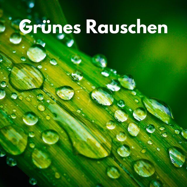 Grünes Rauschen