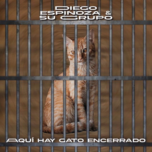 Aquí Hay Gato Encerrado