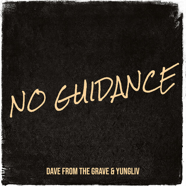 No Guidance