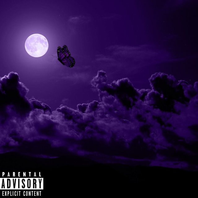 WHOLE LOTTA PURRP