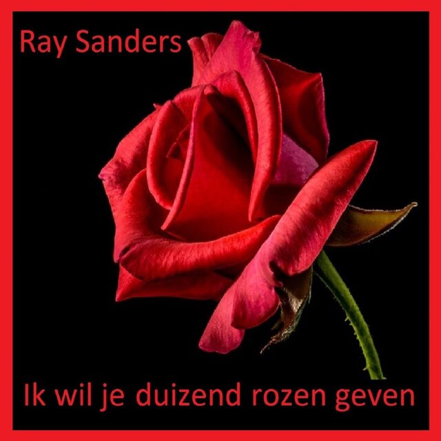 Ik wil je duizend rozen geven