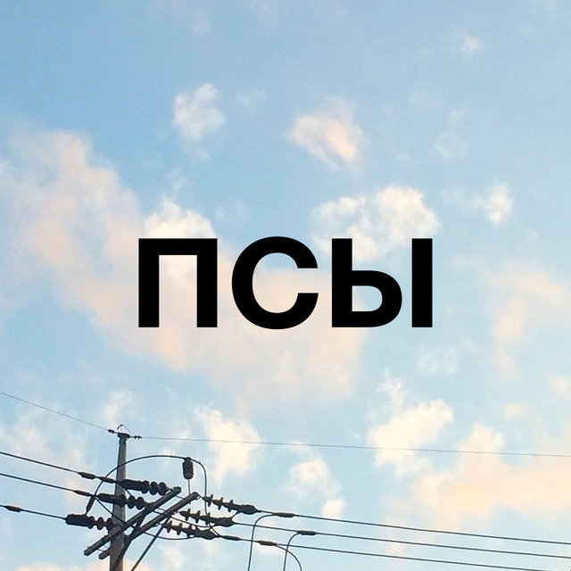 ПСЫ