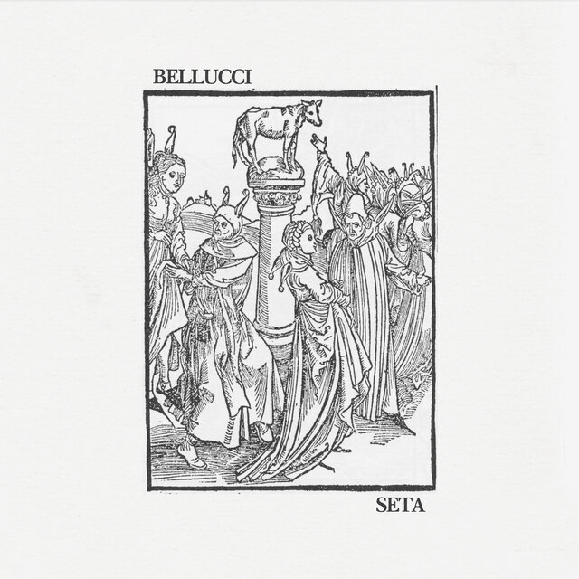 Seta