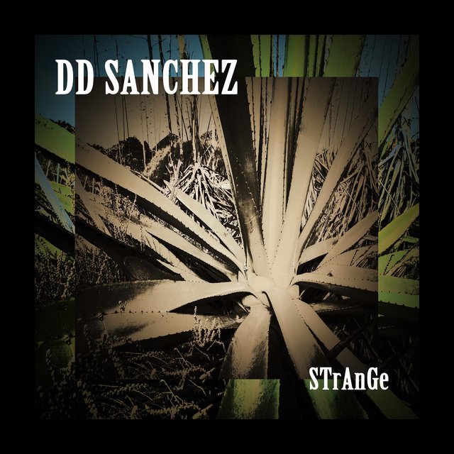 DD SANCHEZ: STrANgE