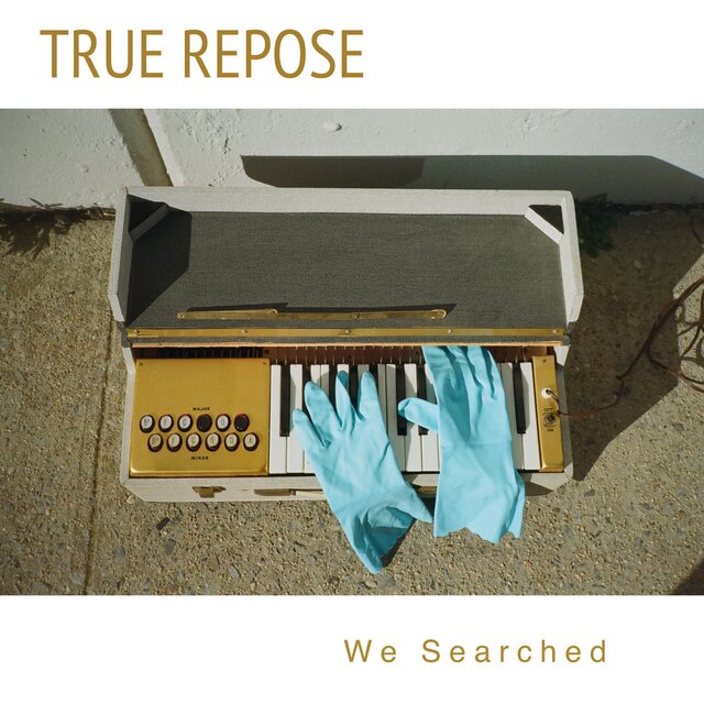 We Searched
